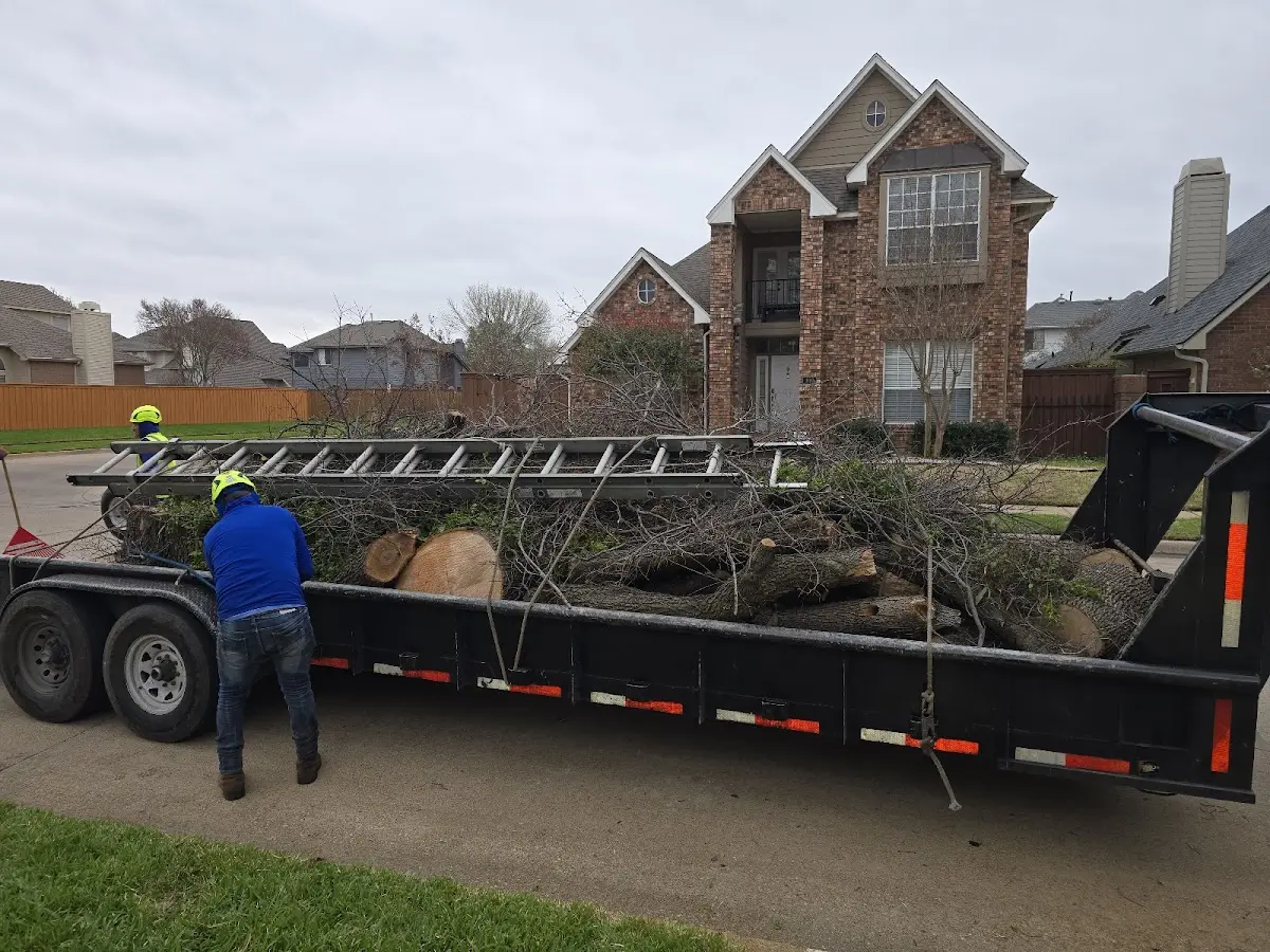 Expert Tree Pest Control with proper safety equipment in Latham